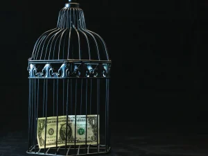 Bird cage with a 1 dollar bill inside.